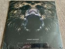 Dermot Kennedy - Keep The Evenings Long 12” Vinyl Record - Rare