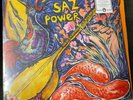 Saz PowerLimited Edition Elektro Hafiz, Baba Zula, Derya Plak LP NEU
