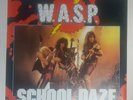 WASP 12