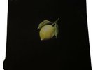 How To Make Lemonade Beyoncé Vinyl Box Set