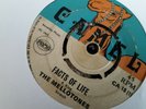 Mellotones , Facts Of Life , Termites , I'll Be Waiting , 7 