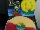 Less Than Jake Losing Streak Half Mustard Yellow/Half Oxblood Red Limited to 400