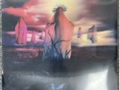 In This Moment ?– Mother Red Vinyl 2LP