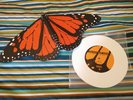 Saves The Day 7