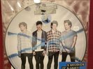 5 Seconds of Summer Limited Edition Picture Disc Vinyl LP Self Titled 2014