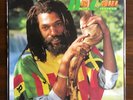Deeply Concerned DON CARLOS LP - VG+ Jacket NM Disc