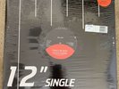 Patrice Rushen   “Forget Me Nots / Havent You Heard”   12” Vinyl Single   Import