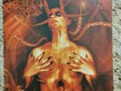 Dark Funeral Double White LP- Diabolis Interium