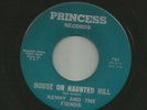 SURF GARAGE INSTRO - KENNY & the FIENDS - HOUSE ON HAUNTED HILL - HEAR- PRINCESS