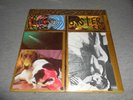 Vintage Vinyl LP / Record Album - SONIC YOUTH - SISTER - 1987 - Artwork - RARE
