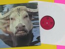 MAN 2 Ozs. Of Plastic... 1974 German PYE LP Exceptionally Clean NEAR MINT  #9945
