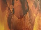 LATIN SALSA Fuego 77 - Tengo Un Tumbao LP (1978) Alegre US ORIGINAL VG+