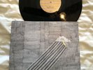 Frightened Rabbit Sing The Greys Signed LP