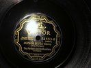 HOT JAZZ MART BRITT ORCH VICTOR 21760 GOOSE CREEK STOMP V+