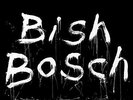 Scott Walker - Bish Bosch (Bonus One CD)  [VINYL]