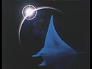 Oldfield,Mike - The Songs Of Distant Earth