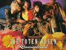 Toten Hosen - Damenwahl 35 Jahre-Jubiläumsedition Broilers