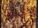 Lord Mantis - Universal Death Church LP NEW