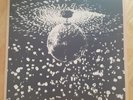 Neil Young - Mirror Ball Vinyl 2LP