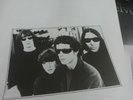 The Velvet Underground 5 LP Box Mint- Art Rock, Garage Rock, Avantgarde