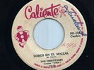Peru Psych Cumbia Wah Wah 45 LOS ORIENTALES / ANICETO Loros Maizal CALIENTE Hear