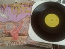 Steve Allen & Raw Energy / White Stallion LP / INDIE THRASH COLUMBUS OH. EX/EX