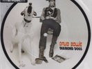 DAVID BOWIE   DIAMOND DOGS 7