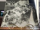 RAGE AGAINST THE MACHINE XX [20TH ANNIVERSARY EDITION] [LP] [PA] 180G Vinyl