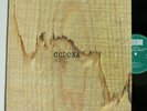 LP Codona  Top Zustand  ECM 1132