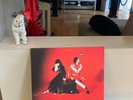 The White Stripes 