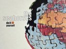 The Seahorses Do It Yourself Album Rare Vinyl LP With Lyric Inner