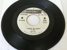 THE DOVERS I Could Be Happy / People Ask Me Why 7” 45 rpm Reprise PROMO