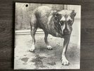 Alice In Chains - Alice In Chains Self Titled 1995 Original Pressing