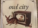 Owl City – Fireflies / Vanilla Twilight (Vinyl Record, 7