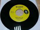 Lorraine Chandler What Can I Do Tell Me You're Mine Rare Northern Soul 45 Giant