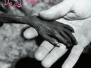 DEAD KENNEDYS-PLASTIC SURGERY DISASTERS (UK IMPORT) VINYL NEW