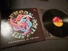 FREAK OF NATURE GATHERING OF FREAKS VINYL LP MIKE TRAMP WHITE LION