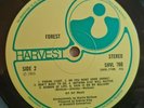 Forest LP Same UK Harvest 1st Press LOVELY VINYL A-1G B-1G (204)