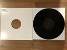 Evanescence - Bitter Truth **TEST PRESS** vinyl LP  RARE linkin park korn