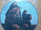 Paradise Lost Gothic Picture Disc My dying bride Peaceville 1991