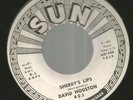 TEEN DOOWOP bw ROCKABILLY- DAVID HOUSTON - SHERRY'S LIPS - HEAR -1966 DJ SUN 403
