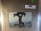 Shellac - Dude Incredible LP NEW W- CD