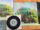 Yo La Tengo - Fade Deluxe 12 