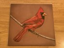 Alexisonfire Old Crows Young Cardinals Vinyl (Fantastic/Near Mint & Rare)