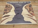 Bombay Bicycle Club - A Different Kind of Fix [Vinyl LP] SIGNED