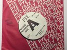 Scarce 1965 PYE WL PROMO: The Koobas 'Take Me For A Little While'  Mod/Beat NM
