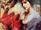 ENYA - Watermark VINYL LP 2016 Reprise Records Exc Cond