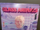 Glass Animals Dreamland Limited Edition Signed Vinyl LP Sleeve + Sealed Vinyl