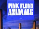 RARE STICKER  1977 PROMO + LYRICS   PINK FLOYD   