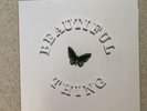 The Stone Roses Beautiful Thing Limited First Press Vinyl